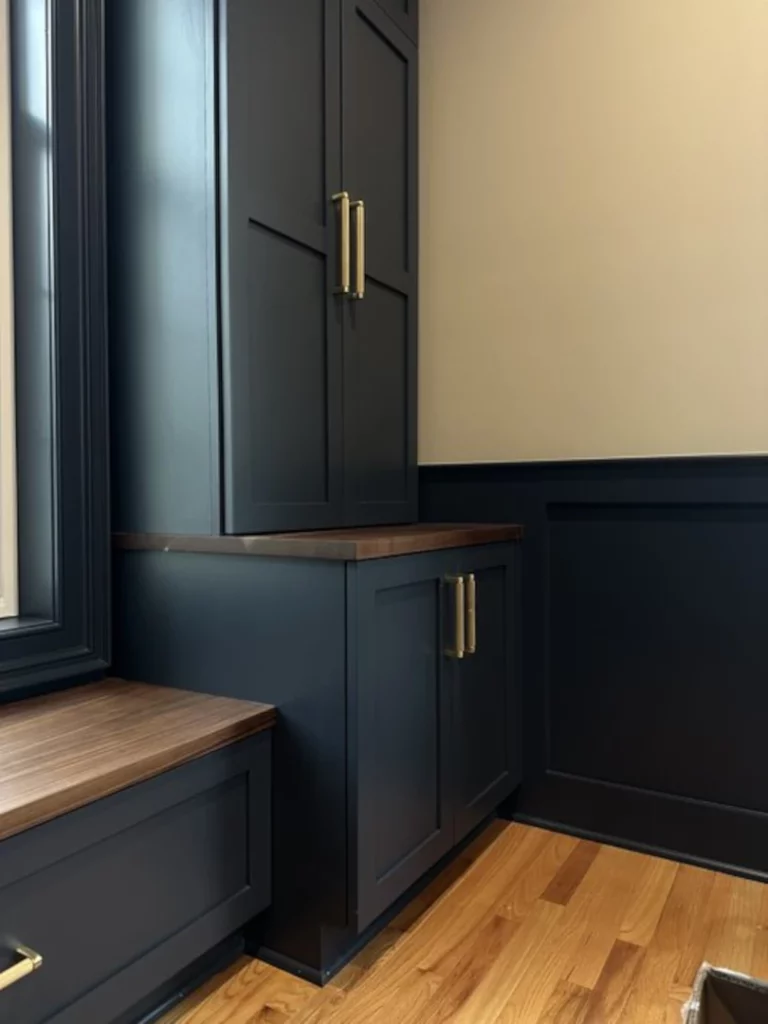Blue Cabinets 1