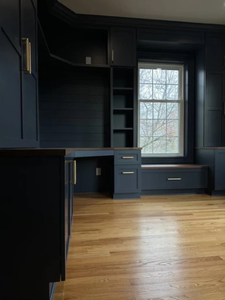 Blue Cabinets 3